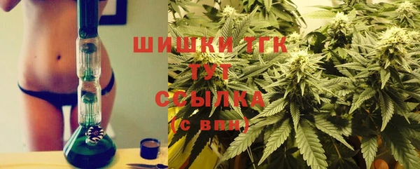 спайс Алексин